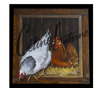Poules 1