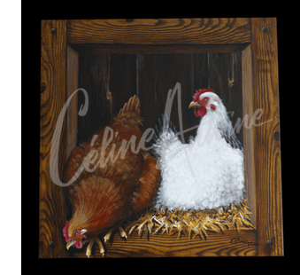 Poules 3